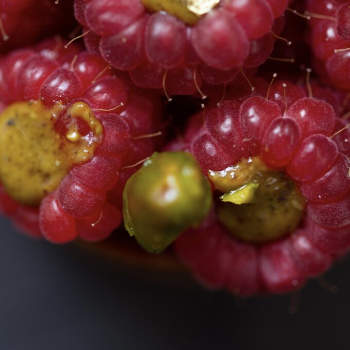 Théo Chereau Pâtisserie La Rochelle - La Tarte Framboises Pistache