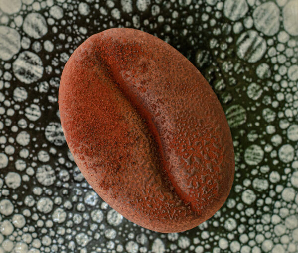 Grain de café - Théo Chereau Pâtisserie - La Rochelle