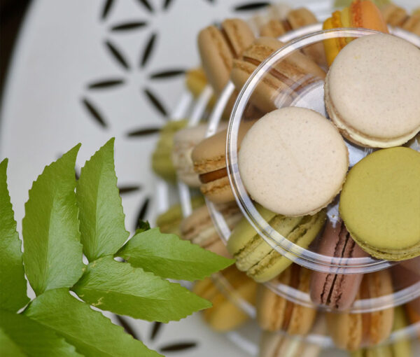 Macarons - Théo Chereau Pâtisserie